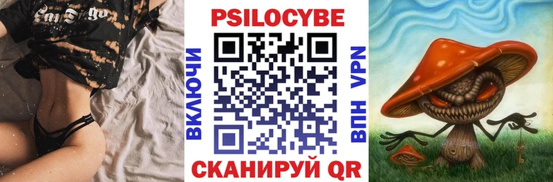 Галлюциногенные грибы Cubensis Ставрополь
