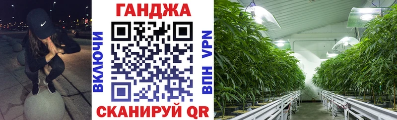 Марихуана White Widow  как найти наркотики  мега как зайти  Ставрополь 
